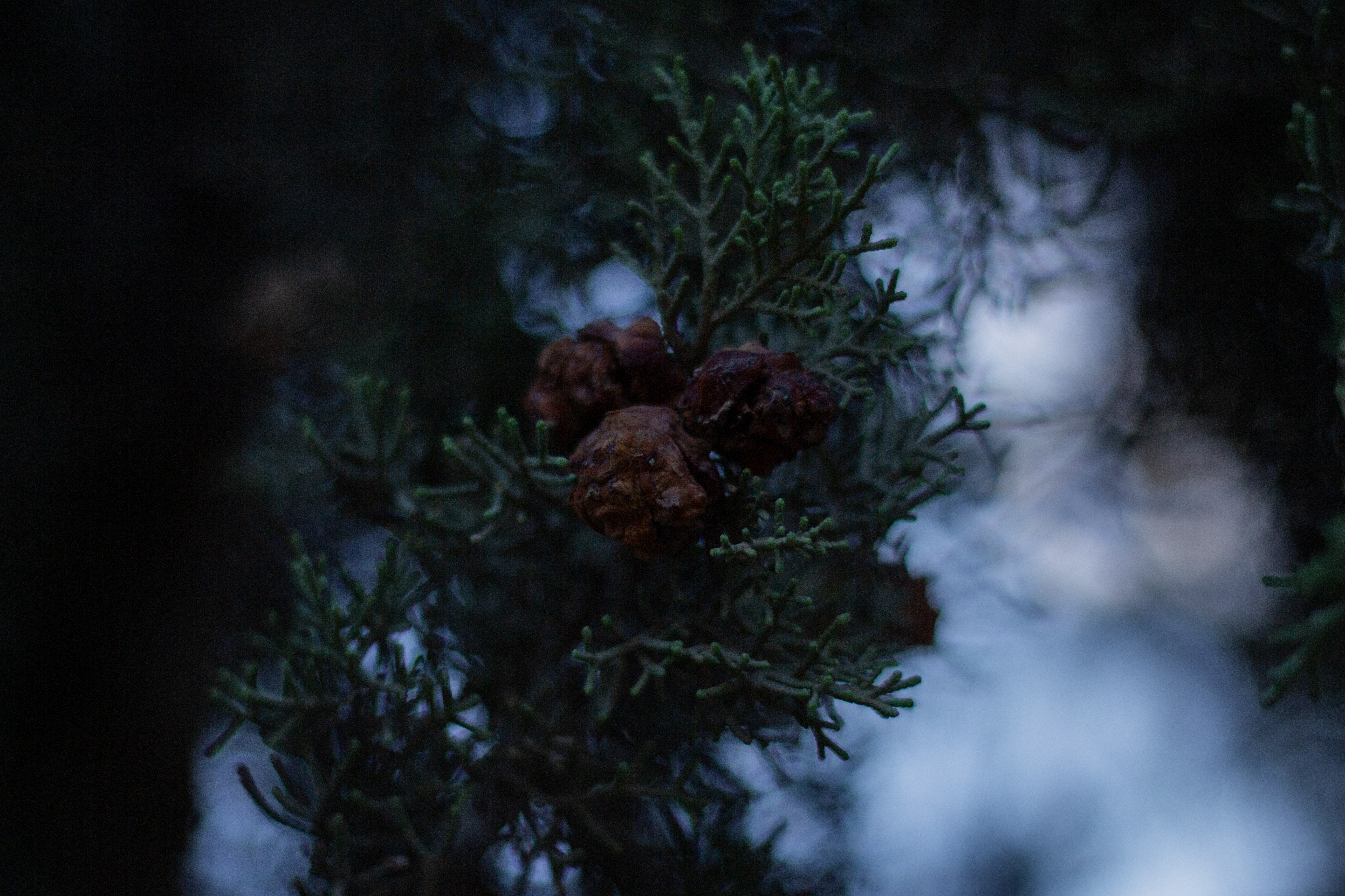 Photo taken just for fun